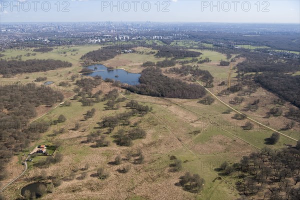 Deer park, Richmond Park, Richmond upon Thames, London, 2018