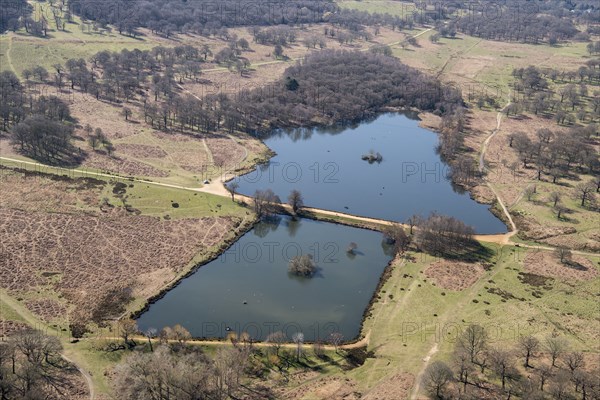 Pen Ponds, Richmond Park, Richmond upon Thames, London, 2018