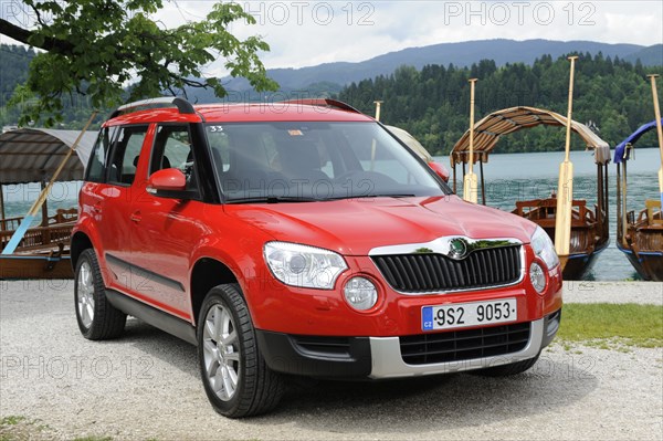 Skoda Yeti 2009. Artist: Simon Clay.