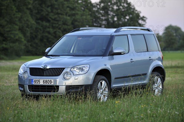 Skoda Yeti 2009. Artist: Simon Clay.