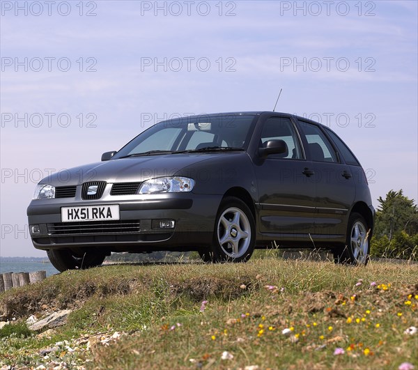 2001 Seat Ibiza. Artist: Unknown.