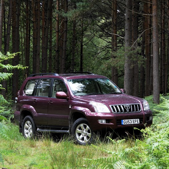 2003 Toyota Landcruiser. Artist: Unknown.