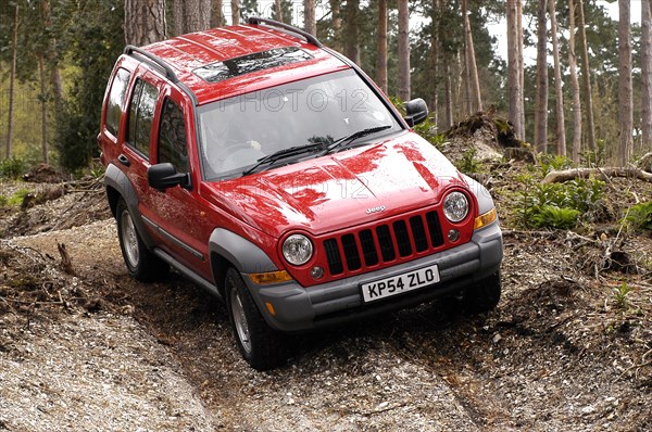 2004 Jeep Cherokee Artist: Unknown.