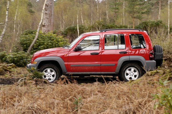 2004 Jeep Cherokee Artist: Unknown.