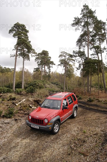 2004 Jeep Cherokee Artist: Unknown.