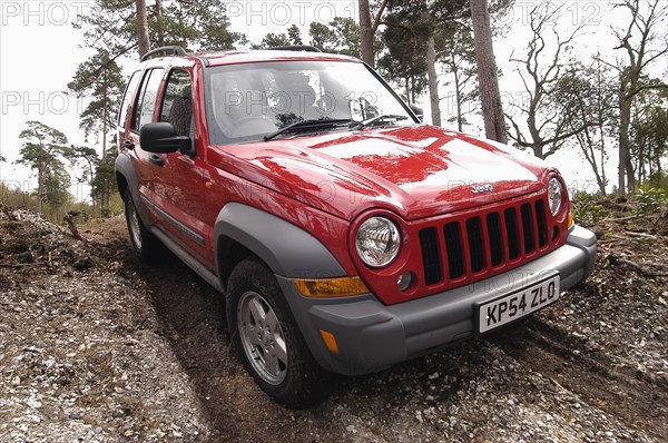 2004 Jeep Cherokee Artist: Unknown.