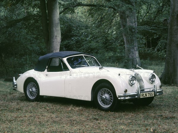 1954 Jaguar XK140 DHC Artist: Unknown.