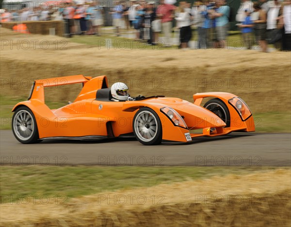 2009 Caparo T1 at 2009 Goodwood Festival of speed Artist: Unknown.