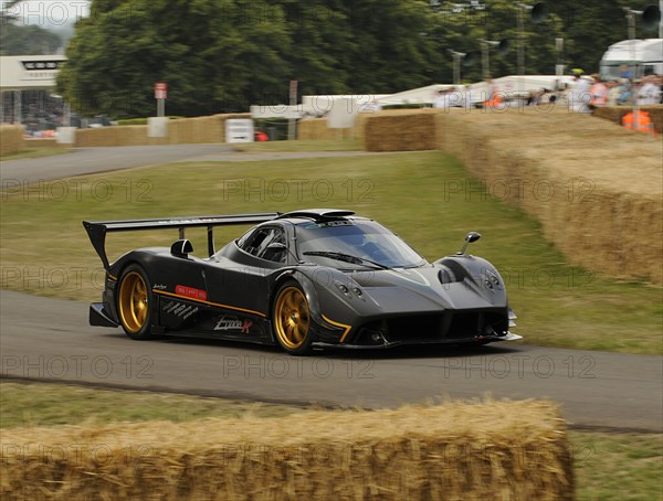 2009 Pagani Zonda R, Goodwood Festival of Speed Artist: Unknown.