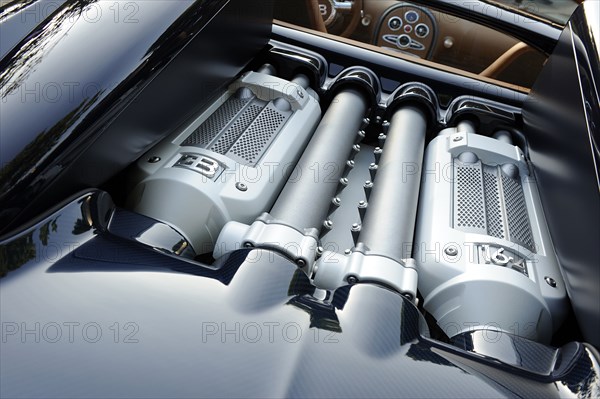 2009 Bugatti Veyron Sang Bleu Artist: Unknown.