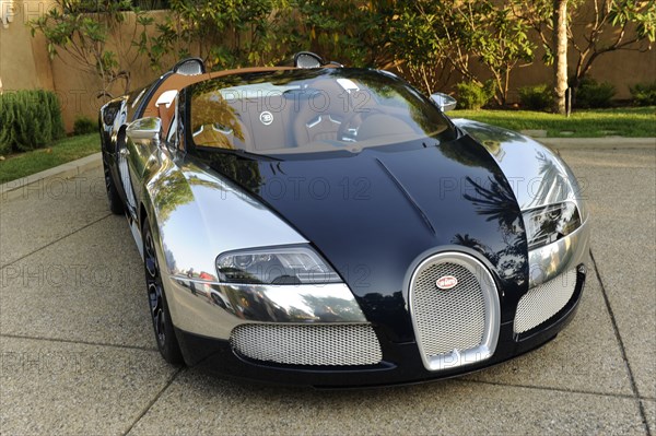 2009 Bugatti Veyron Sang Bleu Artist: Unknown.