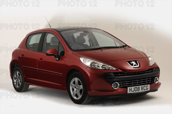 2008 Peugeot 207 Artist: Unknown.