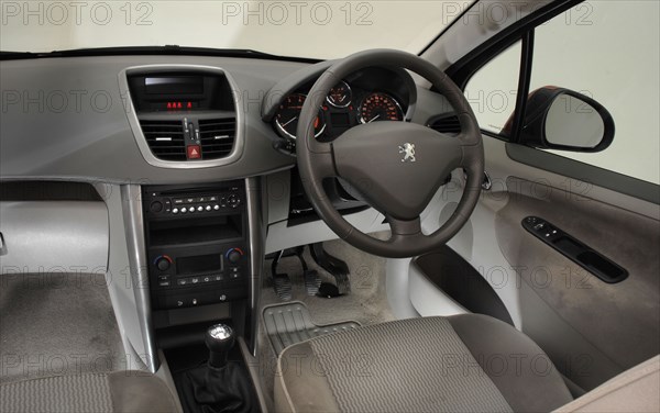2008 Peugeot 207 Artist: Unknown.