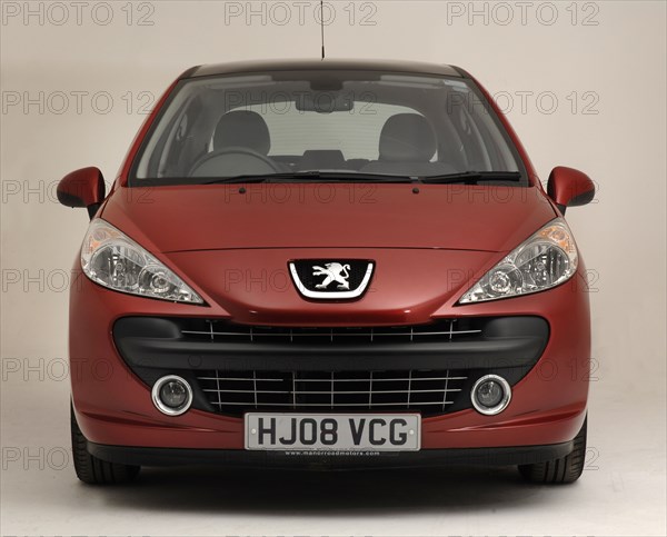 2008 Peugeot 207 Artist: Unknown.