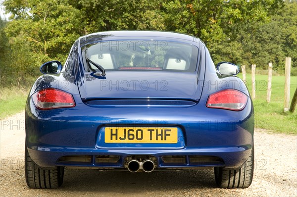 2010 Porsche Cayman Artist: Unknown.