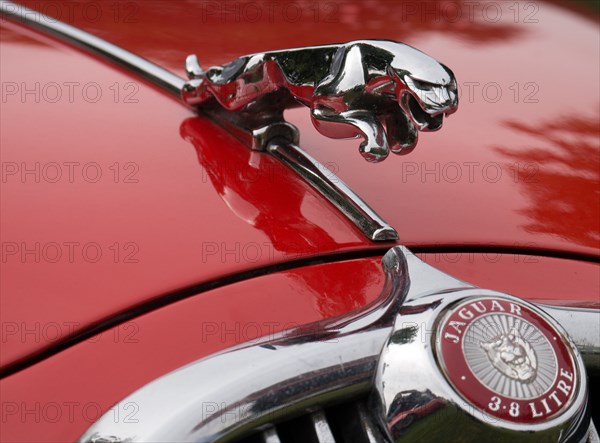 Leaping cat mascot on Jaguar 3.8 litre