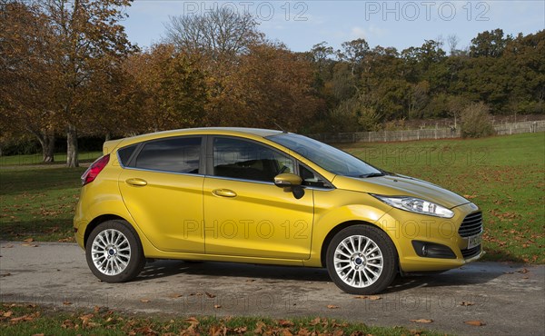 2013 Ford Fiesta Econetic Artist: Unknown.