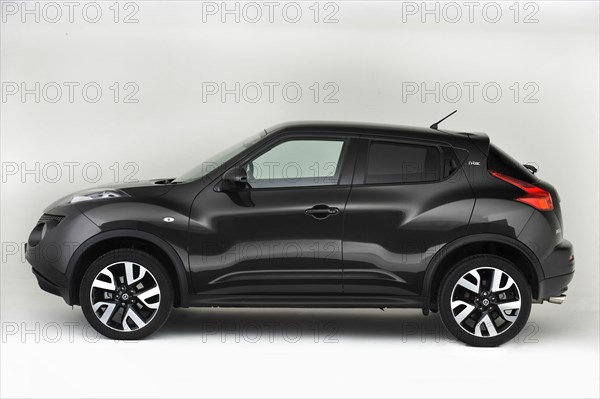 2013 Nissan Juke Artist: Unknown.