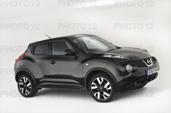 2013 Nissan Juke Artist: Unknown.