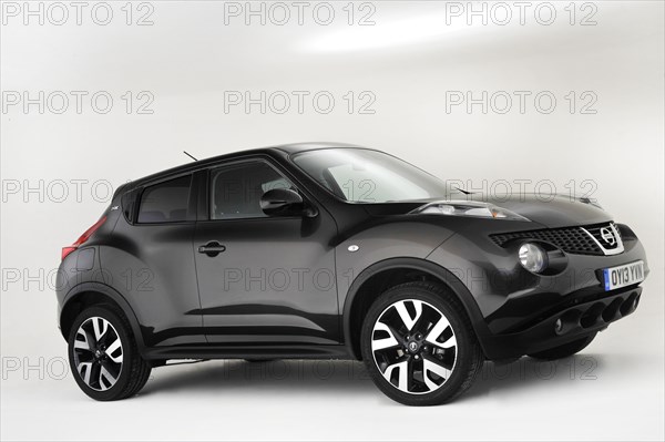 2013 Nissan Juke Artist: Unknown.