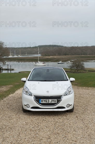2014 Peugeot 208 Hdi Artist: Unknown.