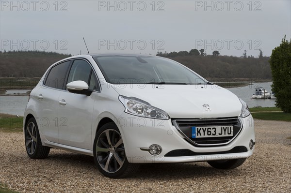 2014 Peugeot 208 Hdi Artist: Unknown.
