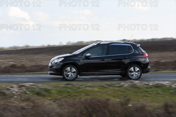 2014 Peugeot 2008 Hdi Feline Artist: Unknown.