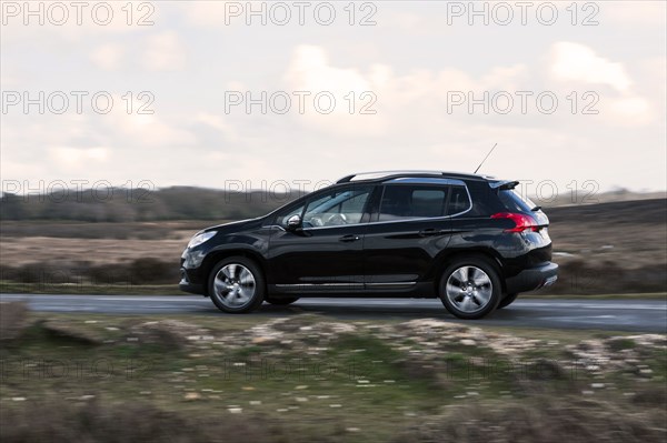 2014 Peugeot 2008 Hdi Feline Artist: Unknown.