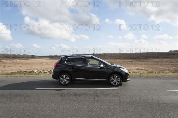 2014 Peugeot 2008 Hdi Feline Artist: Unknown.