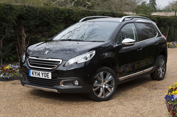 2014 Peugeot 2008 Hdi Feline Artist: Unknown.