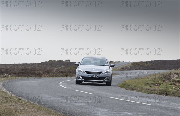 2014 Peugeot 308 THP 156 Feline Artist: Unknown.