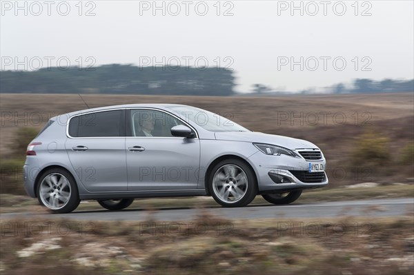 2014 Peugeot 308 THP 156 Feline Artist: Unknown.