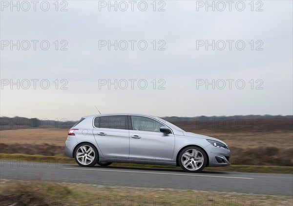 2014 Peugeot 308 THP 156 Feline Artist: Unknown.