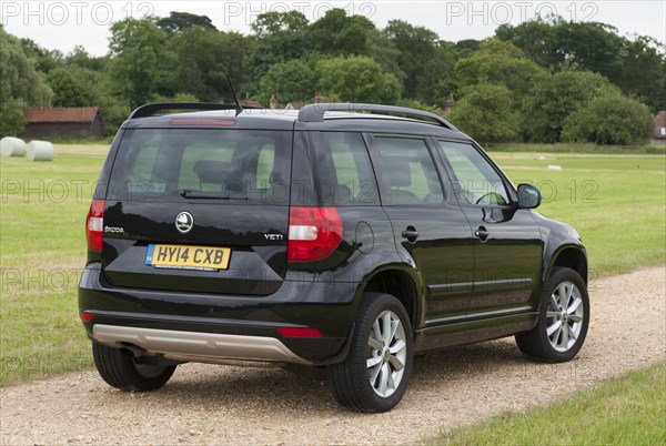 2014 Skoda Yeti SE Artist: Unknown.