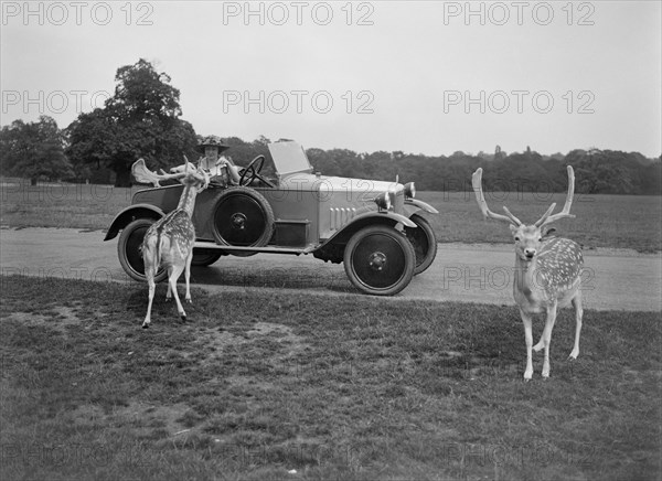 Woman in a BSA car feeding a deer in Richmond Park, Surrey, c1920s. Artist: Bill Brunell.