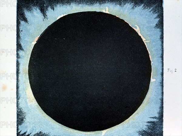Solar corona and prominences 1860 (1870). Artist: Anon