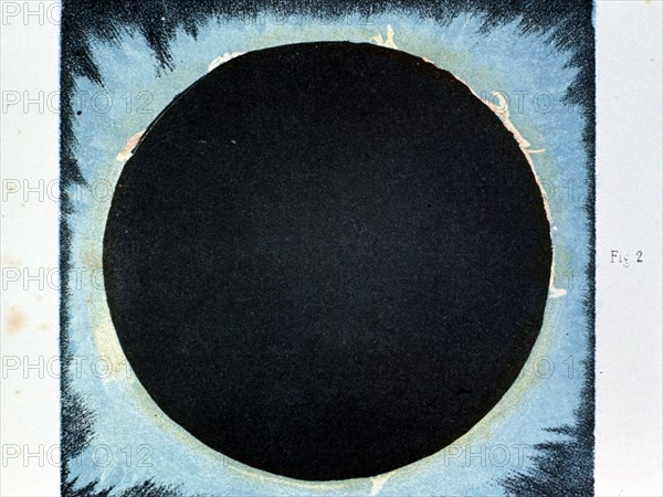 Solar corona and prominences 1860 (1870).   Artist: Anon