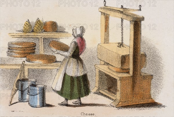 'Cheese', c1845.  Artist: Benjamin Waterhouse Hawkins