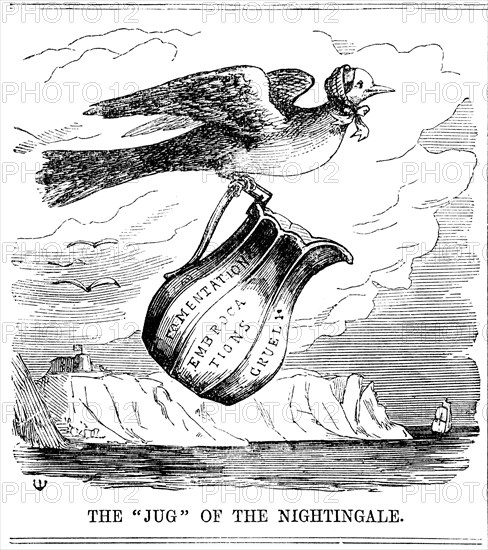 'The Jug of the Nightingale', 1854. Artist: Unknown