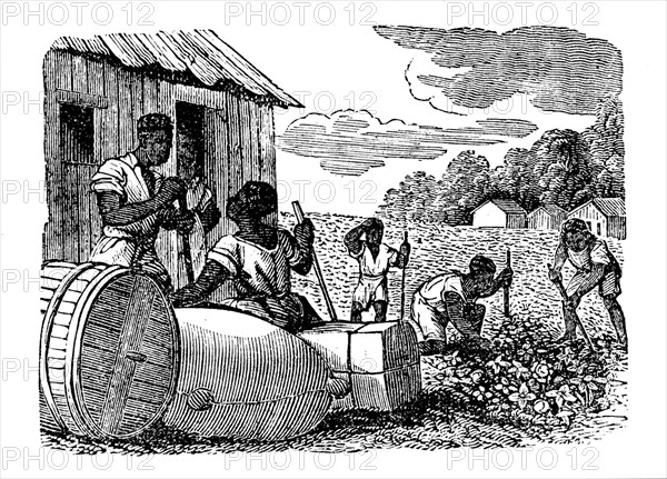 Slaves working on a tobacco plantation, 1833. Artist: Anon