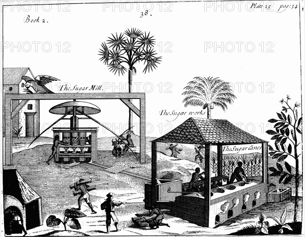 Slave labour on a sugar plantation in the West Indies, 1725. Artist: Unknown