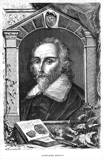 William Harvey (1578-1657) English physician, c17th century. Artist: Unknown