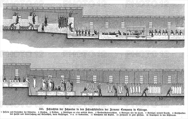 Armour Company's pig slaughterhouse, Chicago, Illinois, USA, 1895. Artist: Unknown