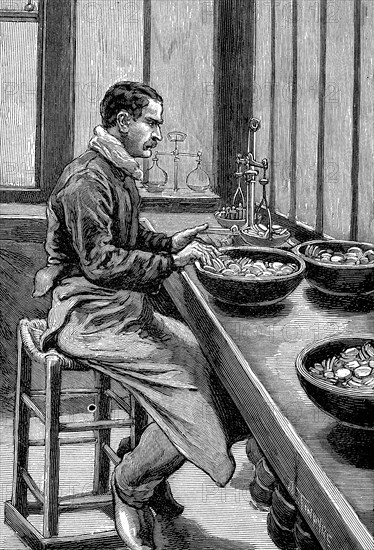 Testing the weight of gold pieces, Paris mint, 1892. Artist: Unknown