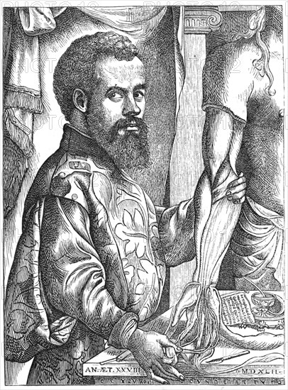 Andreas Vesalius, 16th century Flemish anatomist. Artist: Unknown