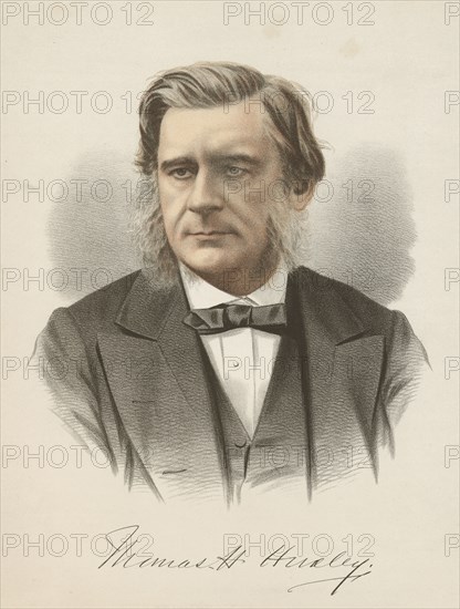 Thomas Henry Huxley, English biologist, c1880. Artist: Unknown