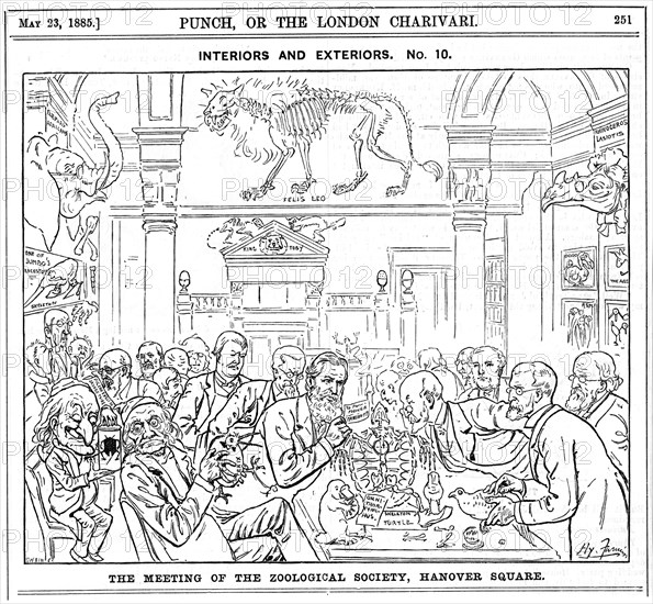 'The Meeting of the (Royal) Zoological Society, Hanover Square', London, 1885. Artist: Harry Furniss