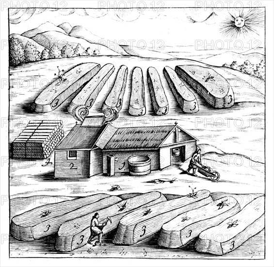 Production of saltpetre (nitre, potassium nitrate, or KN03), 1683. Artist: Unknown