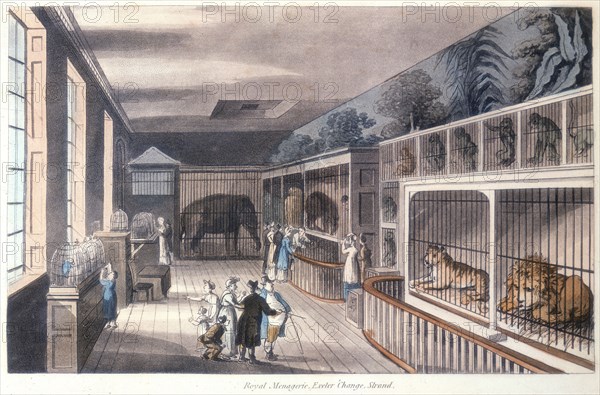 'Royal Menagerie, Exeter Change, Strand, London', c1820. Artist: Unknown