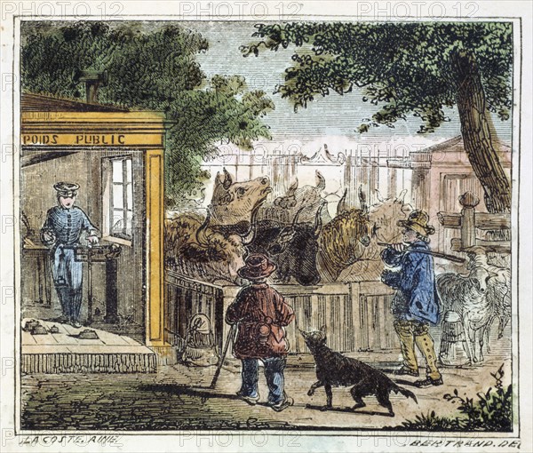 Public weighbridge used to weigh cattle in a market, 1867. Artist: Unknown